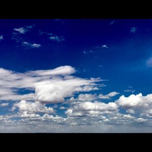 Meet your Posher, Treyann